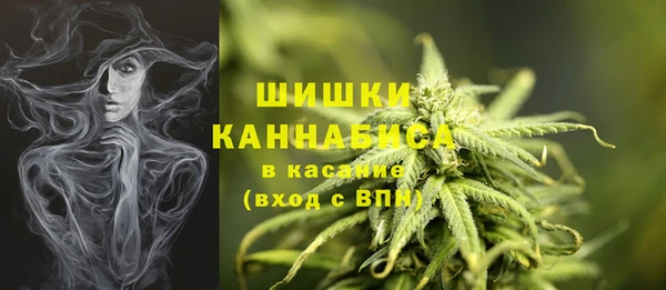 а пвп мука Богданович