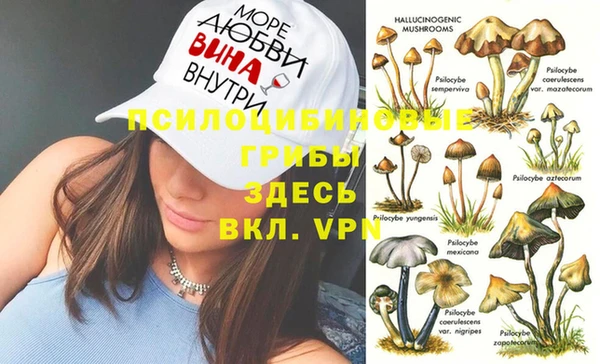 герыч Тайга