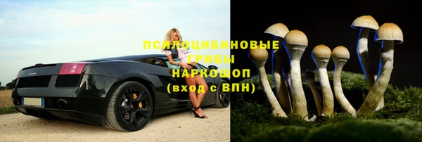 а пвп мука Богданович