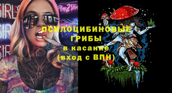 jwh Богородицк