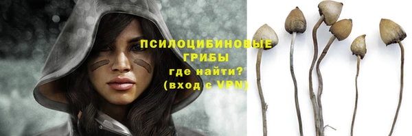 а пвп мука Богданович