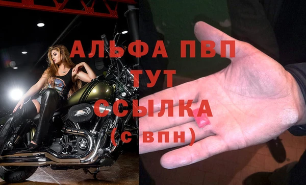 jwh Богородицк