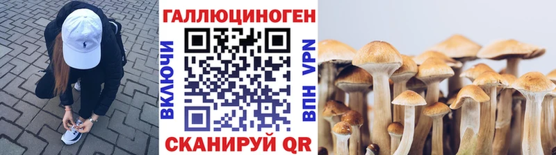 где купить наркотик  Буйнакск  Галлюциногенные грибы Cubensis 