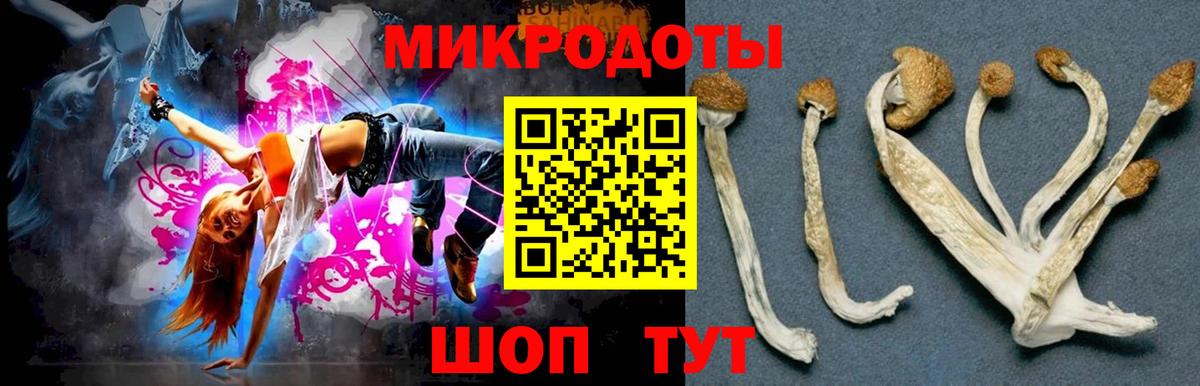 Буйнакск  Псилоцибиновые грибы прущие грибы  Вход с VPN 